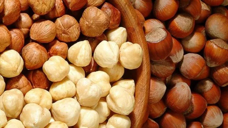 Hazelnuts - Benefits and Risks for Women
