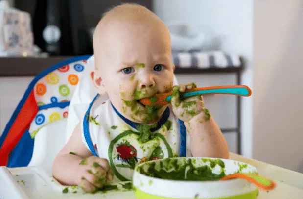 Is basil safe during breastfeeding: benefits and risks of the herb