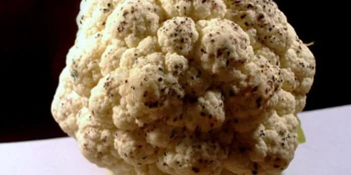 Diseases and pests affecting cauliflower and methods to combat them