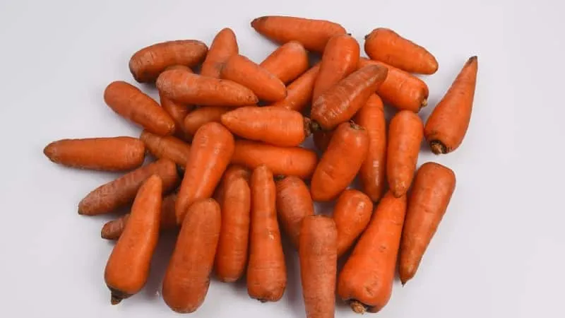 Low-maintenance mid-early hybrid carrot Red Cor