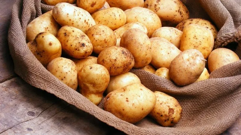 Potato Storage Rules: Should You Wash Them Before Storing?