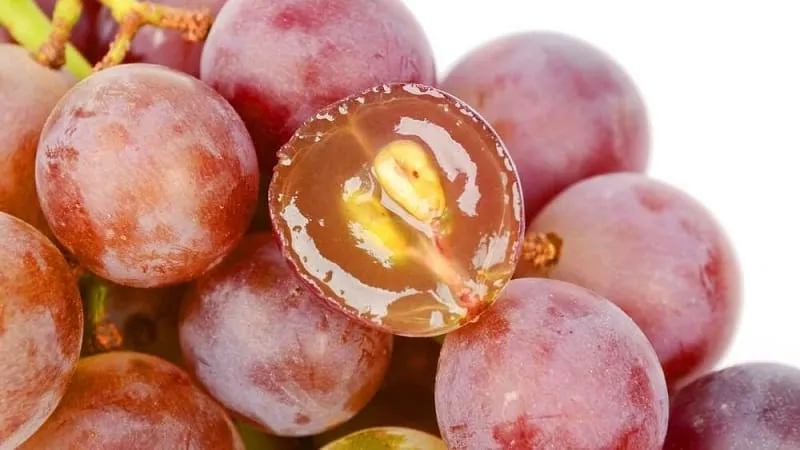 Can you eat grapes during pregnancy in the 1st, 2nd, and 3rd trimesters