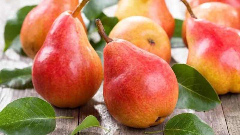 Benefits and potential drawbacks of pears for women