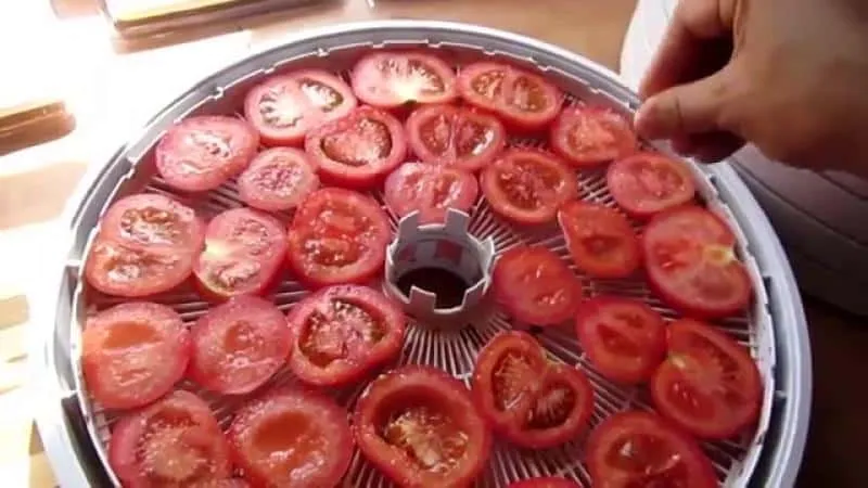How to make sun-dried tomatoes at home: a selection of the best methods for preserving tomatoes