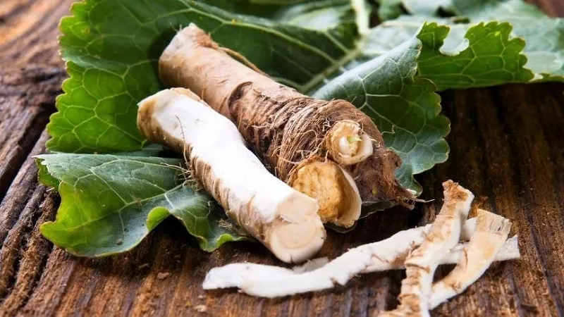Storing horseradish leaves
