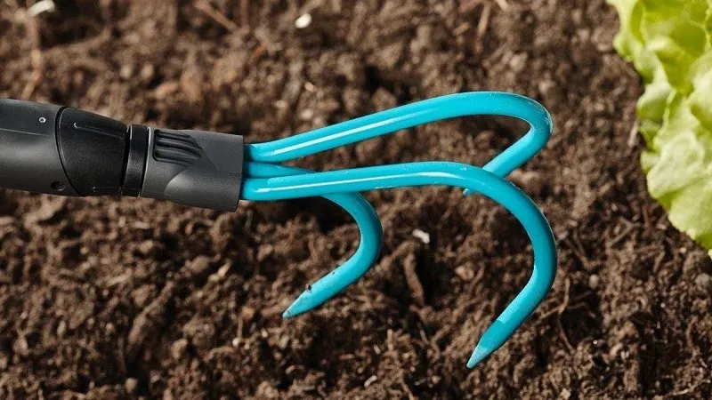 Guide to growing delicious peppers
