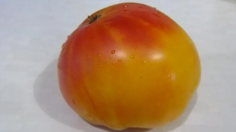 Farmers' favourite among tomatoes: Beefheart tomato, characteristics and description of the variety
