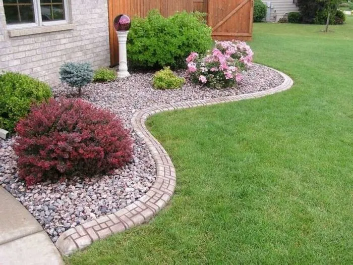 Correct use of barberry in landscape design for maximum aesthetics