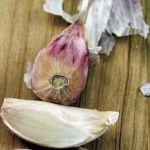 Treating garlic diseases and pests: effective methods and preventive measures