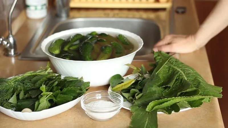 Vinegar-Free Pickled Cucumbers