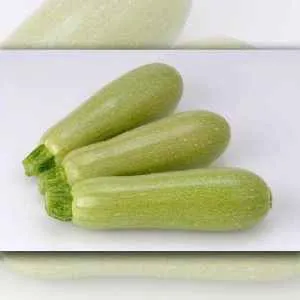 Best zucchini varieties for open ground: photos with descriptions, selection tips