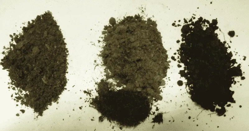 Composition of soil for a potted lemon tree