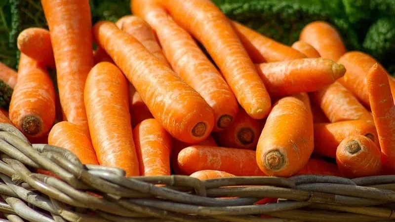 Calories, vitamins, and nutritional value of raw and cooked carrots
