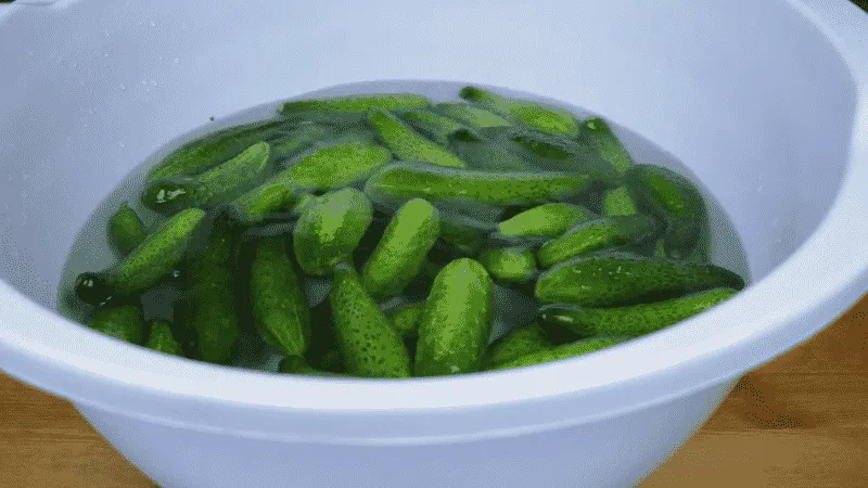 6 Most Delicious Recipes for Pickled Cucumbers in a Pot