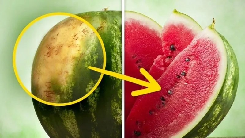 How to tell if a watermelon has spoiled and what to do if it happens