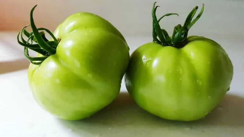 How to store tomatoes to make them turn red: speeding up ripening and keeping them fresh longer