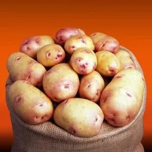 Galaxy potato variety with excellent taste and long shelf life