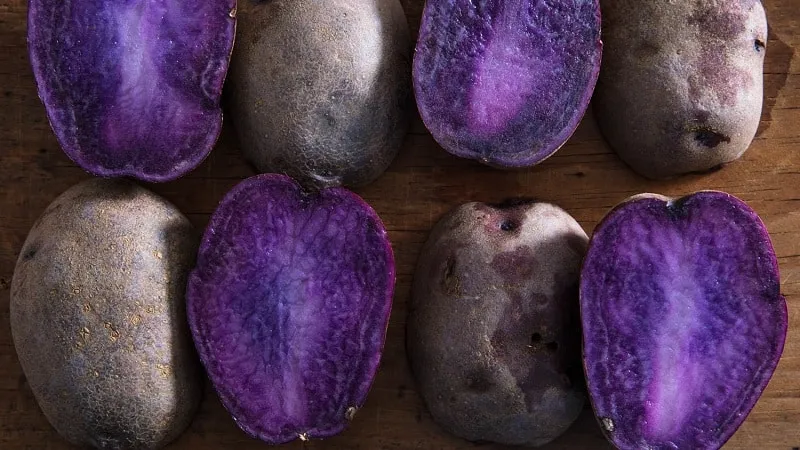 Amazing coloured potatoes: varieties and their health benefits