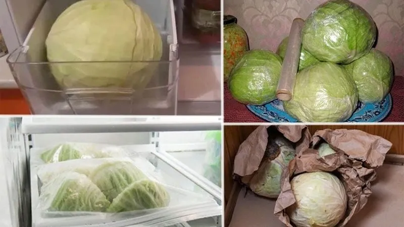 How to properly store cabbage in the freezer, refrigerator, and without cooling devices
