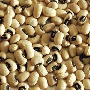Navy Beans