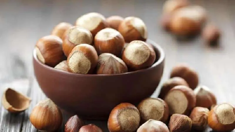 Hazelnuts - Benefits and Risks for Women