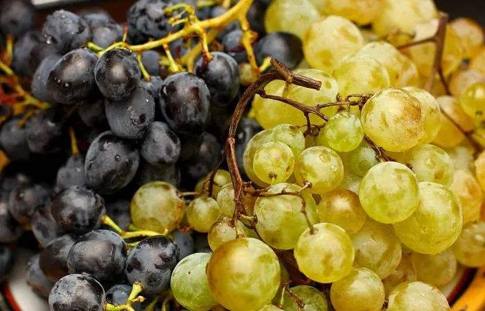 Can you eat grapes during pregnancy in the 1st, 2nd, and 3rd trimesters