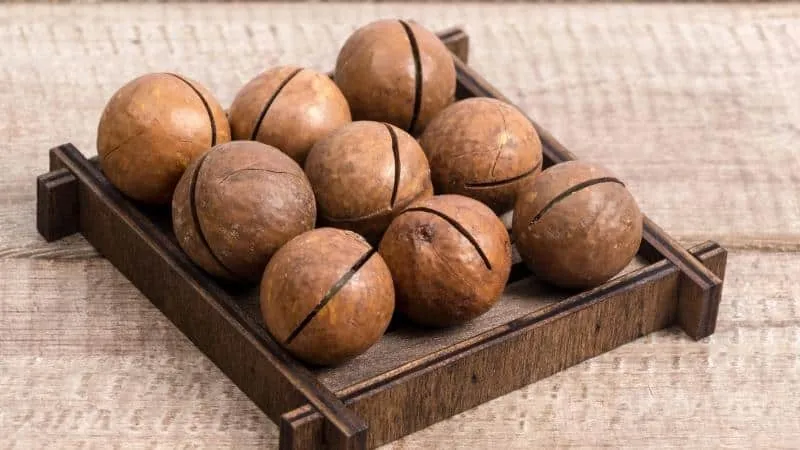 Health benefits of macadamia nuts