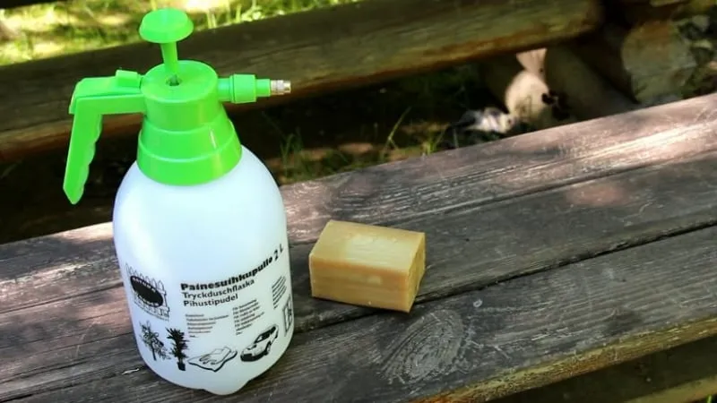 Natural pest control
