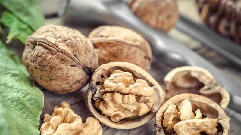 Eating walnuts for weight loss: can you eat them and in what quantity