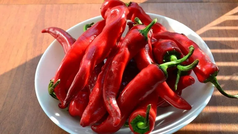 Selection of the best hot pepper varieties and tips for choosing them