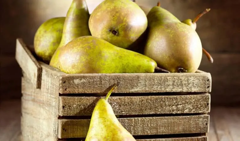 Can pears ripen at home and how to do it