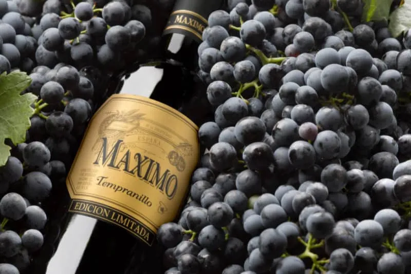 The famous low-calorie grape variety 'Tempranillo'