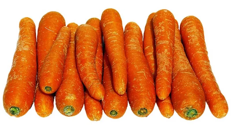 Can carrot allergies occur, how do they manifest, and how are they treated?
