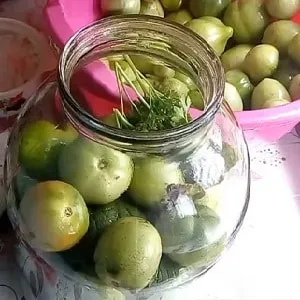 How to properly prepare salted tomatoes in jars "barrel-style" using the cold method: recipes and useful tips