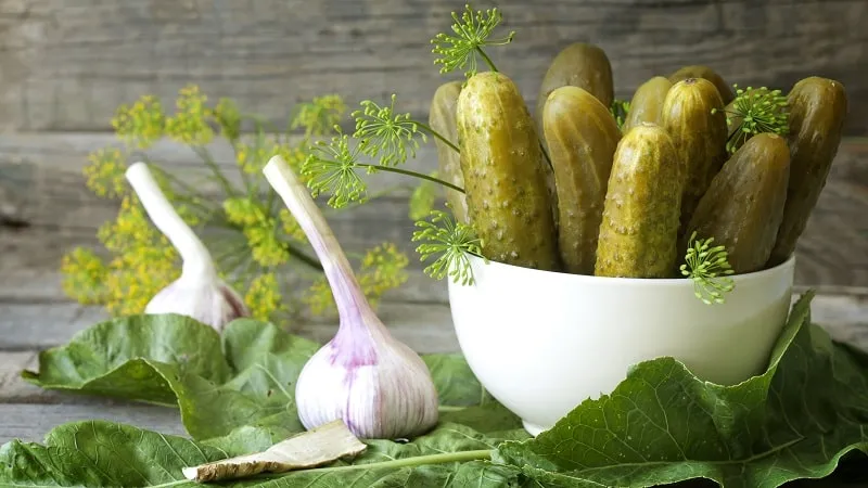 Why pickled cucumbers are hollow inside and how to preserve them correctly to prevent this issue