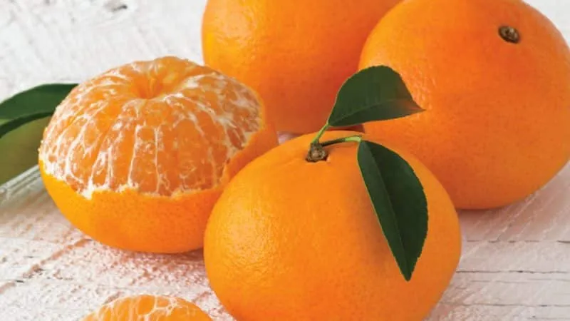 Can you eat tangerines while losing weight, and how do they affect weight loss?