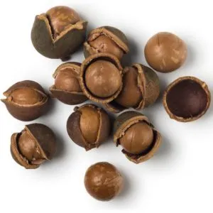 Macadamia nut shells - benefits and uses