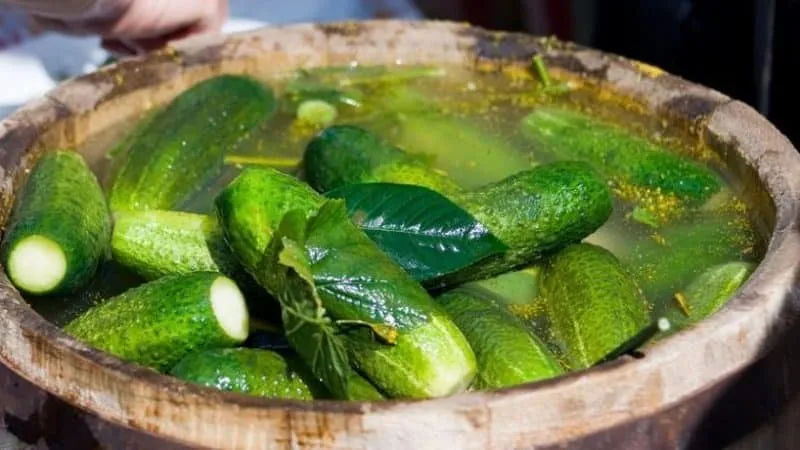 Step-by-step guide to fermenting cucumbers in a barrel