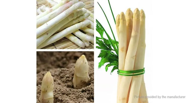 What is white asparagus and why is it this colour