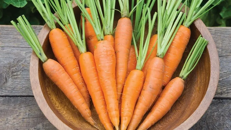 Calories, vitamins, and nutritional value of raw and cooked carrots