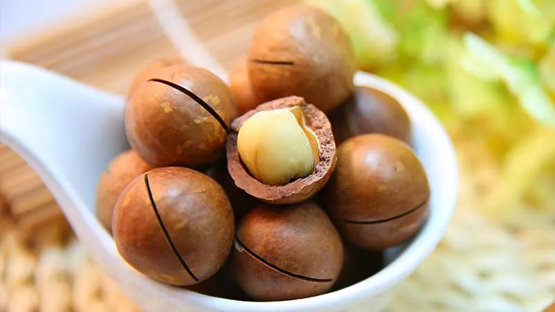Health benefits of macadamia nuts